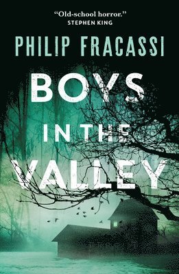 Boys in the Valley 1