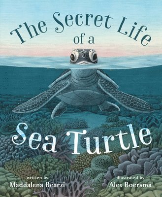 bokomslag The Secret Life of a Sea Turtle