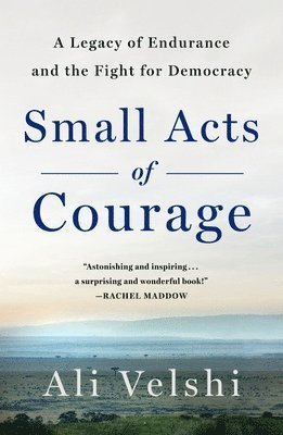 bokomslag Small Acts of Courage