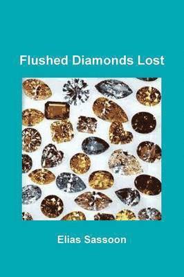Elias Sassoon - Flushed Diamonds Lost, Häftad