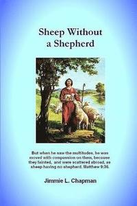 bokomslag Sheep Without a Shepherd