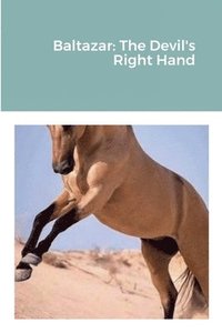 bokomslag Baltazar: The Devil's Right Hand