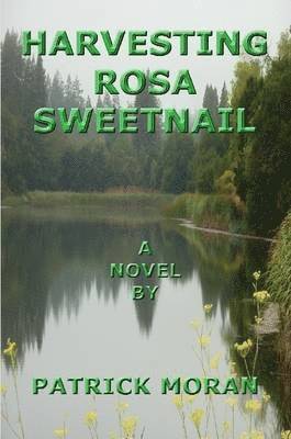 Harvesting Rosa Sweetnail 1