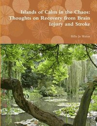 bokomslag Islands of Calm in the Chaos: Thoughts on Recovery from Brain Injury and Stroke