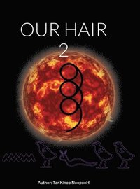 bokomslag Our Hair 2