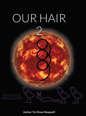 bokomslag Our Hair 2