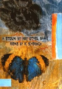 bokomslag Storm by Any Other Name