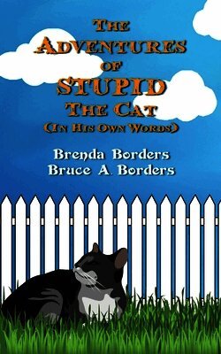 The Adventures of Stupid The Cat