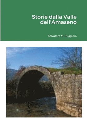 bokomslag Storie dalla Valle dell'Amaseno