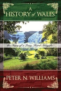 bokomslag A History of Wales