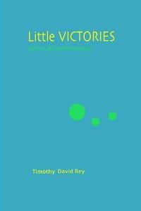 bokomslag Little Victories