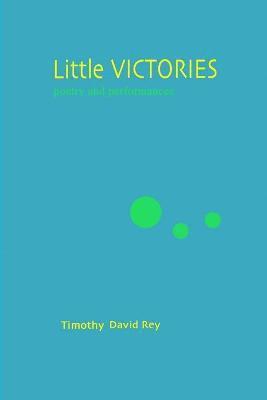 Timothy David Rey - Little Victories, Häftad