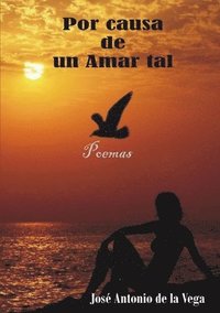 bokomslag Por causa de un Amar tal