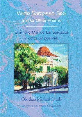 bokomslag Wide Sargasso Sea & 62 Other Poems