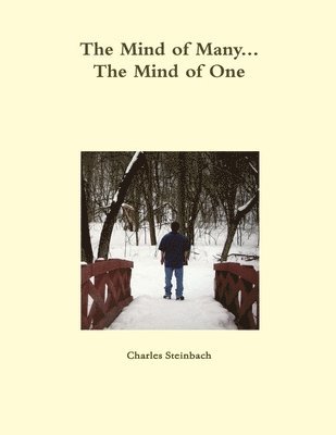Charles Steinbach - Mind of Many The Mind of One, Häftad