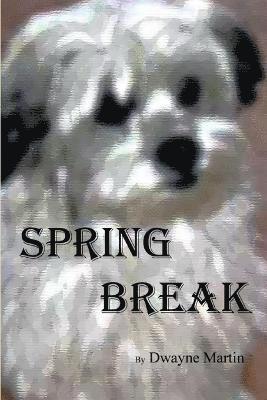 Spring Break 1