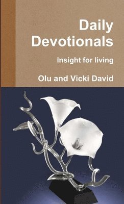 bokomslag Devotionals- Insight for living