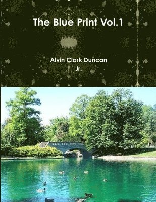 bokomslag Blue Print Vol.1