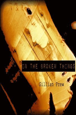 bokomslag In the Broken Things