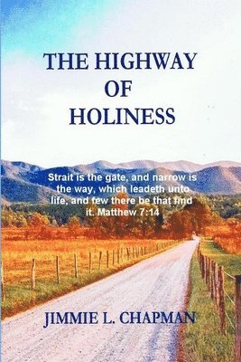 bokomslag The Highway Of Holiness