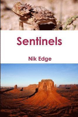 bokomslag Sentinels