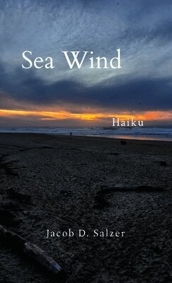 Jacob Salzer - Sea Wind, Häftad