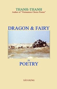 bokomslag Dragon & Fairy in Poetry
