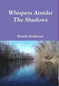 bokomslag Whispers Amidst The Shadows