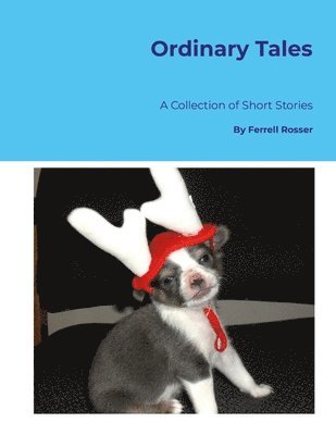 Ordinary Tales