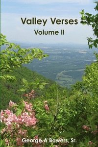 bokomslag Valley Verses Volume II