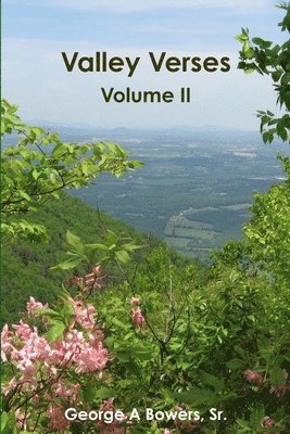 bokomslag Valley Verses Volume II