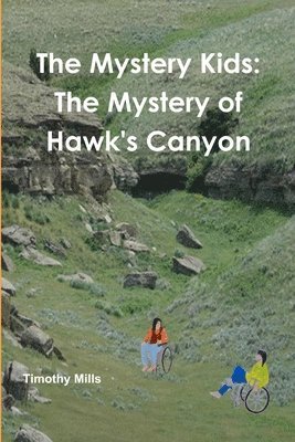 bokomslag The Mystery Kids: The Mystery of Hawk's Canyon