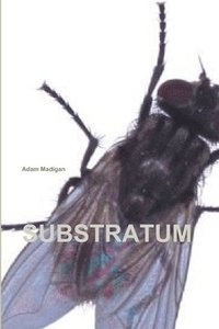 bokomslag Substratum