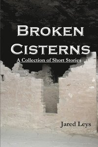 bokomslag Broken Cisterns
