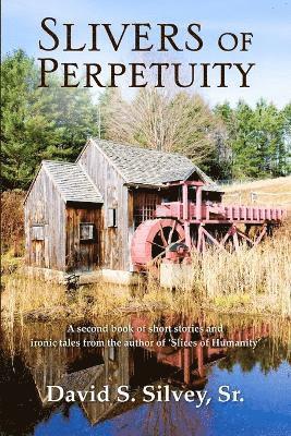 Sr. David S. Silvey, Sr. Silvey, David S., David S. Silvey, Sr. - Slivers of Perpertuity, Häftad