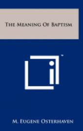 bokomslag The Meaning of Baptism