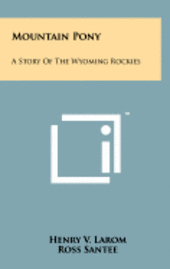 bokomslag Mountain Pony: A Story of the Wyoming Rockies