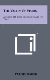 bokomslag The Valley of Vision: A Novel of King Solomon and His Time