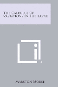 bokomslag The Calculus of Variations in the Large