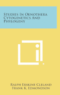 bokomslag Studies in Oenothera Cytogenetics and Phylogeny