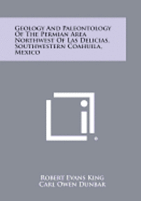 bokomslag Geology and Paleontology of the Permian Area Northwest of Las Delicias, Southwestern Coahuila, Mexico