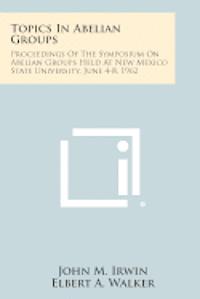 bokomslag Topics in Abelian Groups: Proceedings of the Symposium on Abelian Groups Held at New Mexico State University, June 4-8, 1962