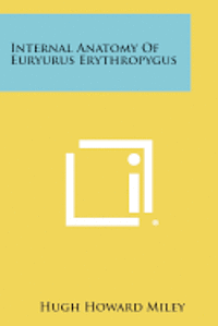 bokomslag Internal Anatomy of Euryurus Erythropygus