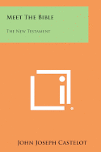 bokomslag Meet the Bible: The New Testament