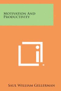 bokomslag Motivation and Productivity