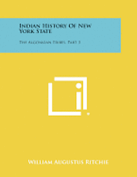 bokomslag Indian History of New York State: The Algonkian Tribes, Part 3