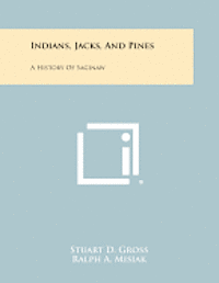 bokomslag Indians, Jacks, and Pines: A History of Saginaw