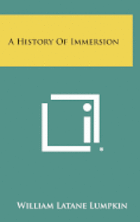 bokomslag A History of Immersion