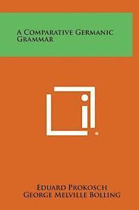 bokomslag A Comparative Germanic Grammar