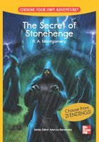 CHOOSE YOUR OWN ADVENTURE: THE SECRET OF STONEHENGE